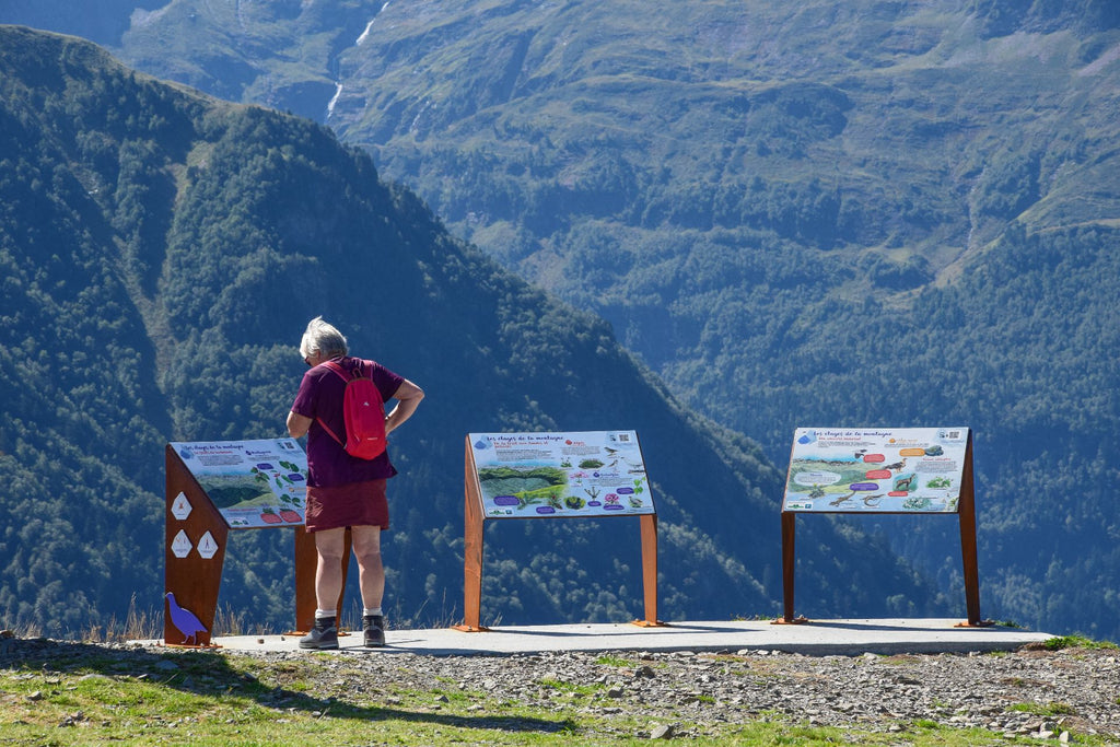 Panneau, table de lecture, signalétique, espèces, biodiversité, nature, montagne