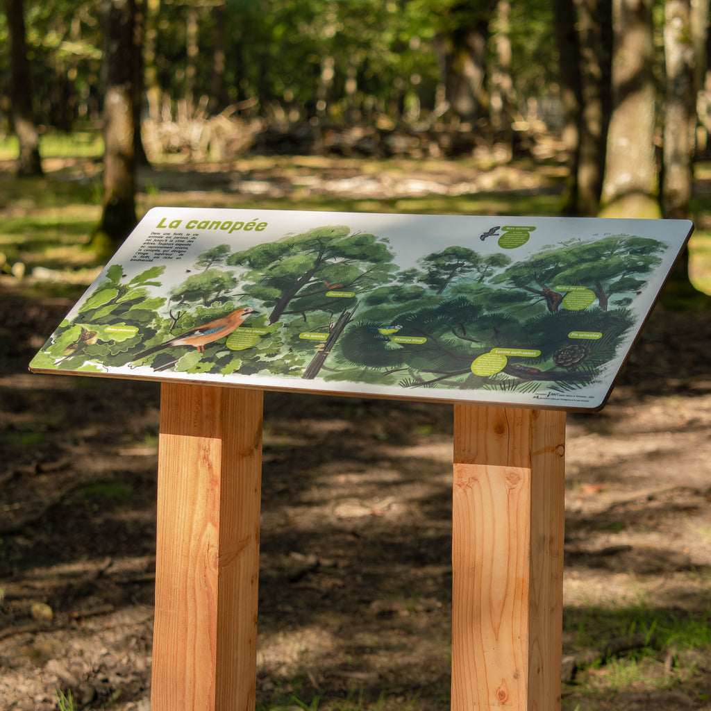 Panneau pédagogique sur la canopée. Signalétique en bois écologique et durable, fabriqué en France. Table de lecture pour l'extérieur sur la faune et la flore présente sur la canopée.