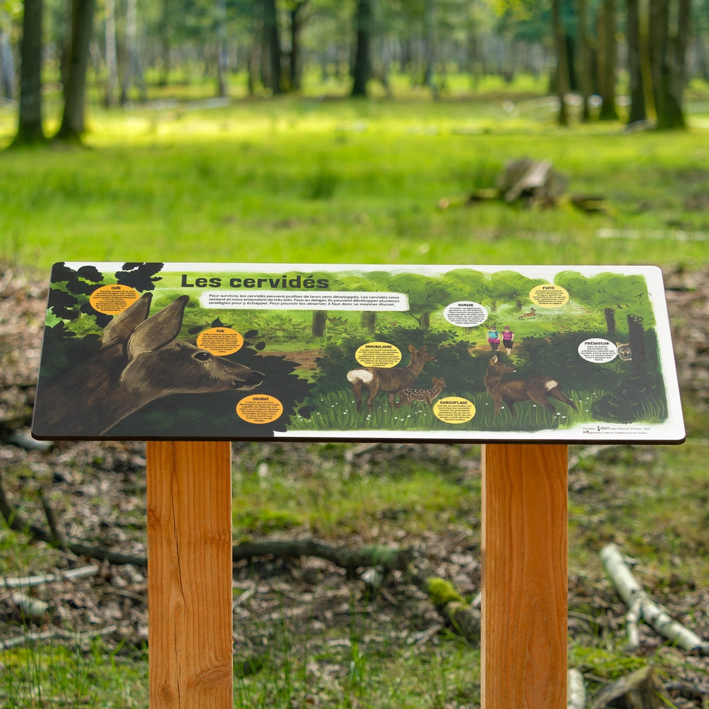 Panneau pédagogique sur les cervidés. Signalétique en bois écologique et durable, fabriqué en France. Table de lecture pour l'extérieur sur le mode de vie des cervidés.