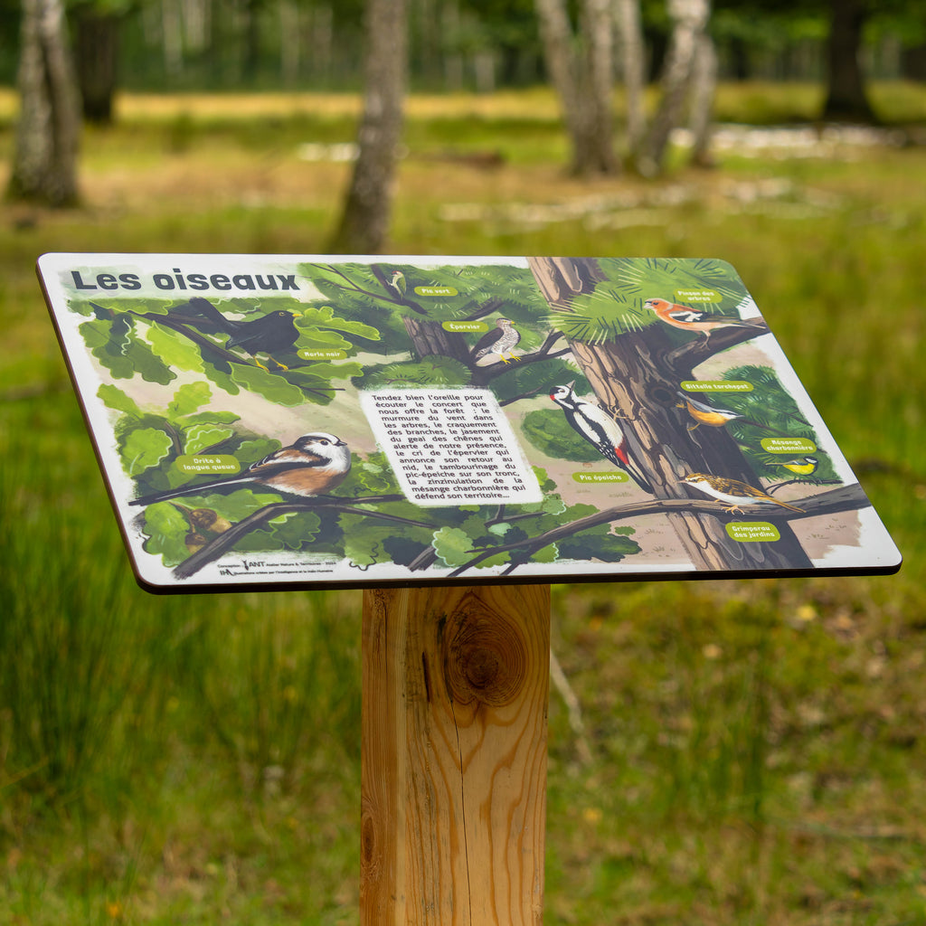 Panneau pédagogique sur les oiseaux. Signalétique en bois écologique et durable, fabriqué en France. Table de lecture pour l'extérieur sur les sons des oiseaux dans la forêt.