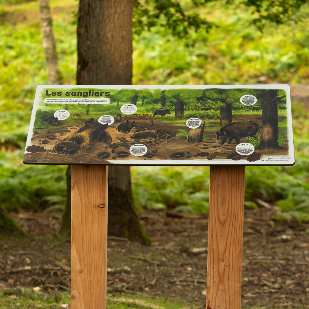 Panneau pédagogique sur les sangliers. Signalétique en bois écologique et durable, fabriqué en France. Table de lecture pour l'extérieur sur la vie des sangliers et leurs traces.