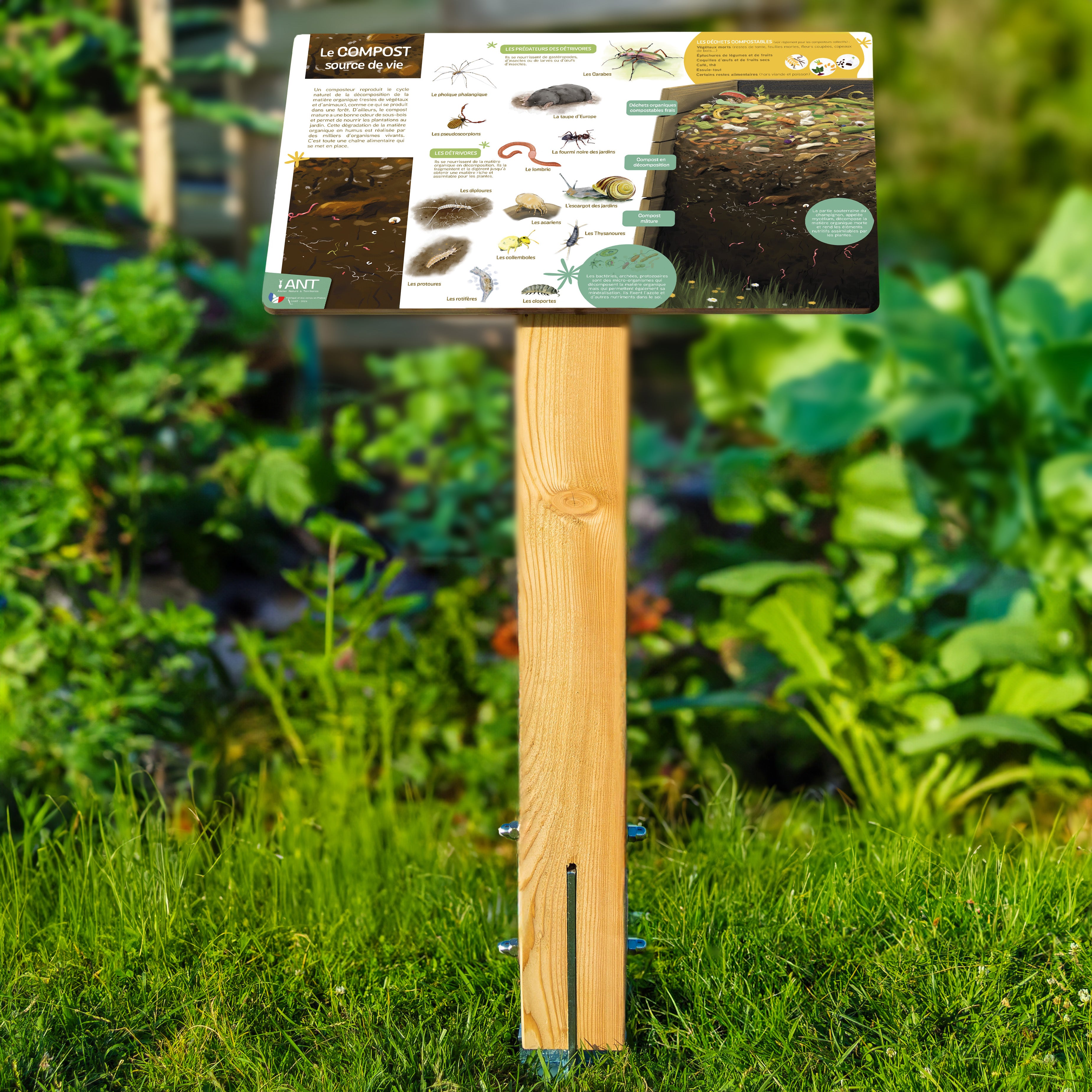 Observation Table Compost Table de lecture | Compost et biodiversité du sol