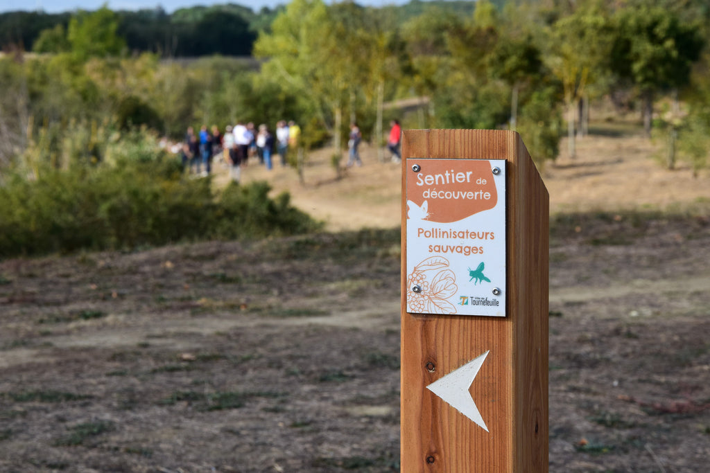 borne directionnelle en bois, signalétique pour jalonner un parcours de découverte de la nature ou un sentier d'interprétation. 