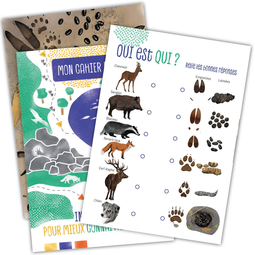 empreinte d'animaux et crottes en forêt, kit pédagogique, outils pour l'éducation à l'environnement