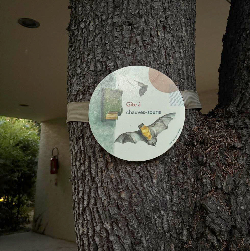panneau, gîte chauves-souris, chiroptière, signalétique pédagogique