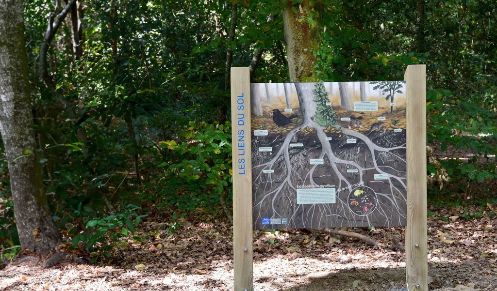 panneau pédagogique sur la faune du sol et les racines des arbres. Signalétique en bois écologique et résistante pour l'extérieur