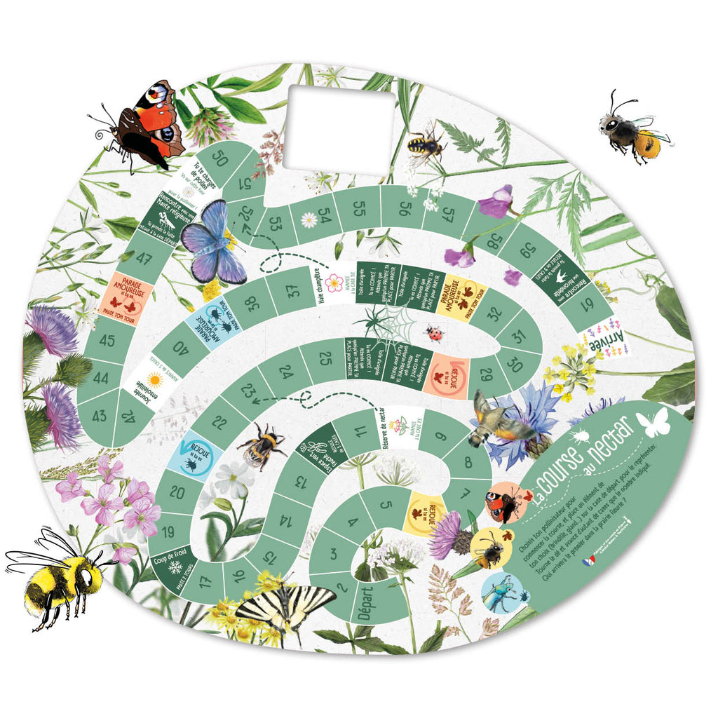 Jeu de l’oie sur les pollinisateurs, une activité ludique et éducative pour sensibiliser petits et grands à l’importance des abeilles, papillons et autres insectes dans la nature. Bois PEFC, Stratimage®, jeux, dé, insectes, pollinisateurs.