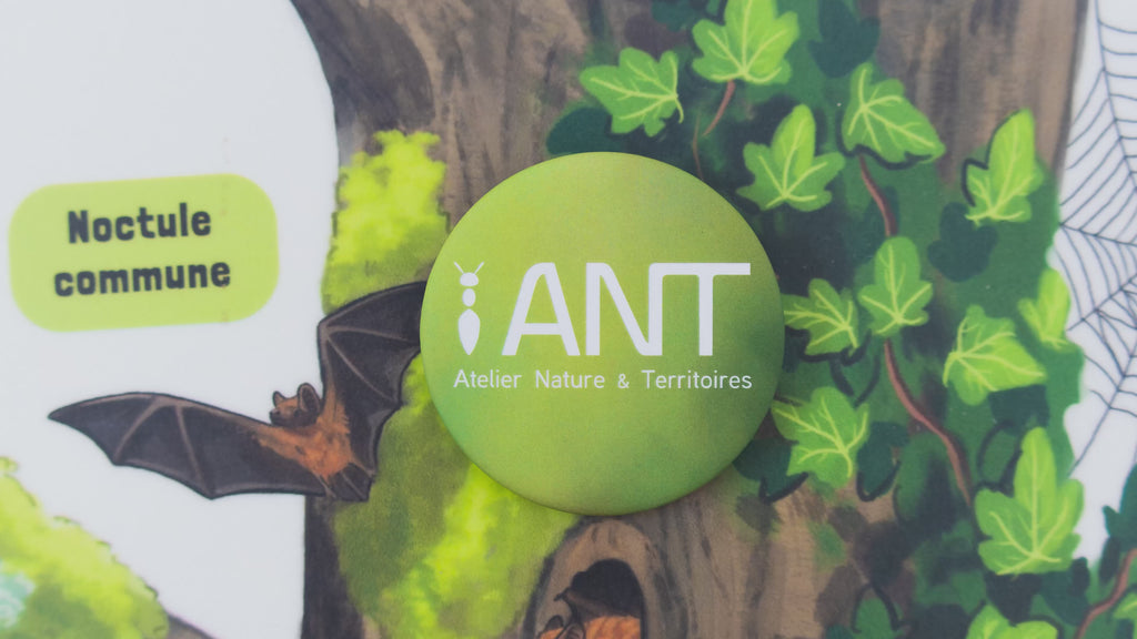 Vidéo d'équipe, ANT, Atelier Nature et Territoires, employés, valeurs, actions, compétences