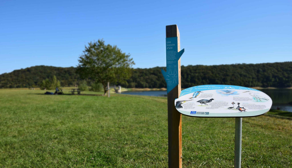 Panneau pédagogique sur-mesure sur les oiseaux du lac, totem en bois et matériaux écologique fabriqués en France